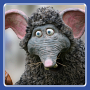 Campi qui Puguis / Rats!