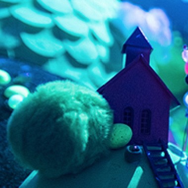 Kleines Fest - Charlotte van Otterloo - Dromoscopen Kleines Fest - Charlotte van Otterloo - Dromoscopen