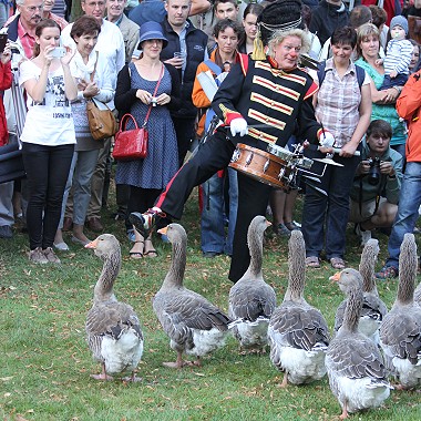 Gaensekapelle Kleines Fest im Großen Garten Hannover / Kleines Fest