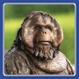 Krist Doo / Orang-Utan