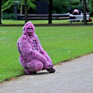 Kleines Fest - Krist Doo - Golila