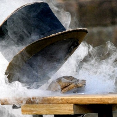 Kleines Fest - Pieter Post - The Turtle - Die Schildkröte