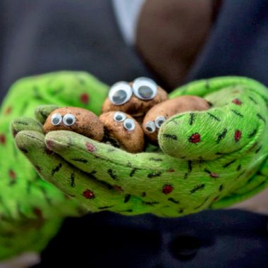 Kleines Fest - Let's grow - The Vegetable Nannies Kleines Fest - Let's grow - The Vegetable Nannies