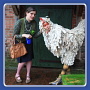 Theater Pikante -  - Frau Huber und ihr Huhn