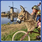 Godelieve Huijs -  - Don QuiGo