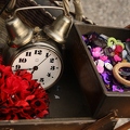 Sewing_Cycle_Company__20110720_HH_Den__9075.jpg