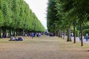 KF misc  20250708 HH BKu  7842 1920x1280