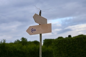 KF misc  20250708 HH BKu  8525 1920x1280