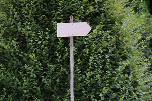 KF misc  20250708 HH BKu  7988 1920x1280