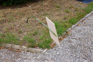 KF misc  20250708 HH BKu  7969 1920x1280