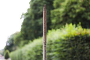 KF misc  20250708 HH AKu  1997 1920x1280