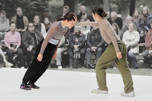 Company Chameleon  20250708 HH Den  4793 1920x1280