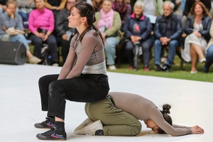 Company Chameleon  20250708 HH Den  4802 1920x1280