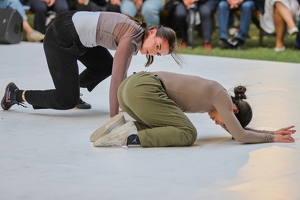 Company Chameleon  20250708 HH Den  4801 1920x1280