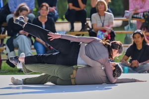 Company Chameleon  20250709 HH AKu  2260 1920x1280