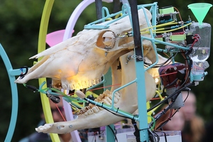 Exoot  20250708 HH BKu  8432 1920x1280