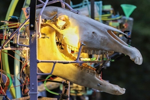 Exoot  20250708 HH Den  5058 1920x1280