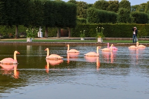 Loomaland  20250709 HH Den  6487 1920x1280