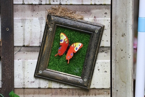 Plunge Boom  20250708 HH Den  4898 1920x1280