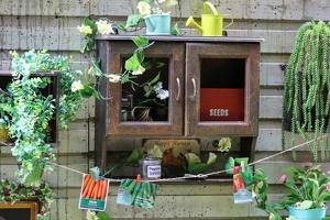 Plunge Boom  20250708 HH Den  4897 1920x1280