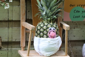 Plunge Boom  20250708 HH Den  4896 1920x1280