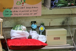 Plunge Boom  20250708 HH Den  4895 1920x1280