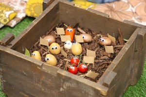 Plunge Boom  20250708 HH AKu  0586 1920x1280