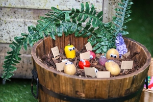 Plunge Boom  20250708 HH Den  4899 1920x1280