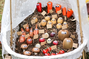 Plunge Boom  20250708 HH Den  9323 1920x1280