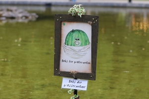 Plunge Boom  20250708 HH Den  4982 1920x1280