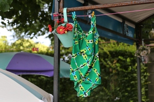 Swoolish Garage  20250710 HH Den  9679 1920x1280