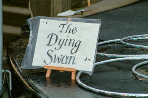 Judith Lanigan  20040708 HH Den  048 1920x1280