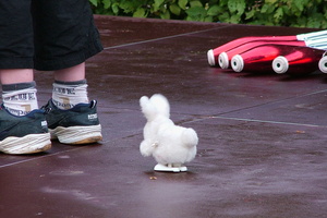 The Individuals  20040708 HH AKu  031 1920x1280