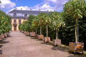 KF misc  20040717 HH Den  Nachtschattengang 03 1920x1280