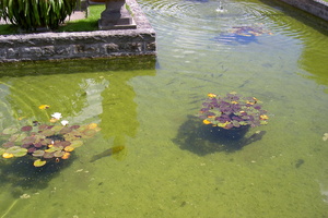 KF misc  20040717 HH Den  Inselgarten 02 1920x1280