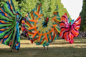 184   Teatro Pavana Colors  20260712 HH Den  6669