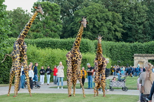 188   Teatro Pavana Giraffe  20260702 HH Den  6329