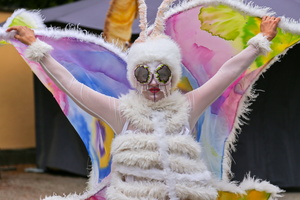 197   TraumTanzTheater  20260702 HH Den  1710