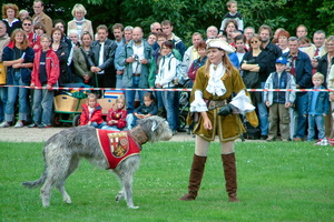 076   Horus Falknerei  20050812 Lu Den  176