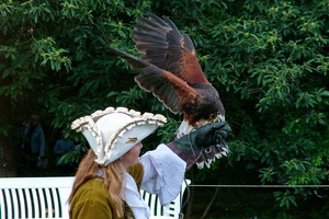 079   Horus Falknerei  20050813 Lu AKu  029