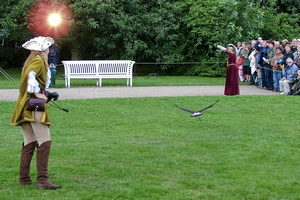080   Horus Falknerei  20050813 Lu AKu  032