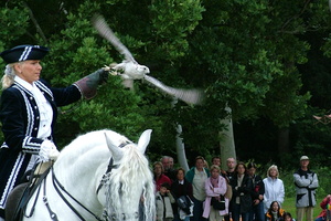 084   Horus Falknerei  20050813 Lu AKu  063
