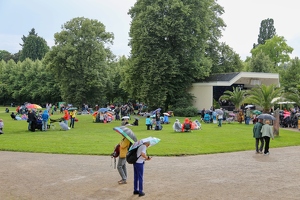 KF misc  20250725 BP Den  0035 1920x1280