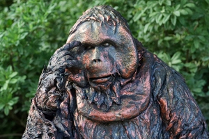 Krist Doo  20250726 BP Den  8765 1920x1280