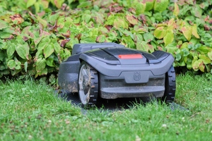 KF misc  20250725 BP Den  7787 1920x1280